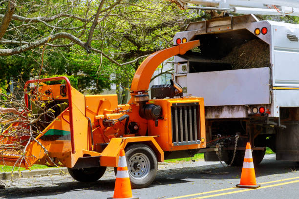  Orcutt, CA Tree Services Pros